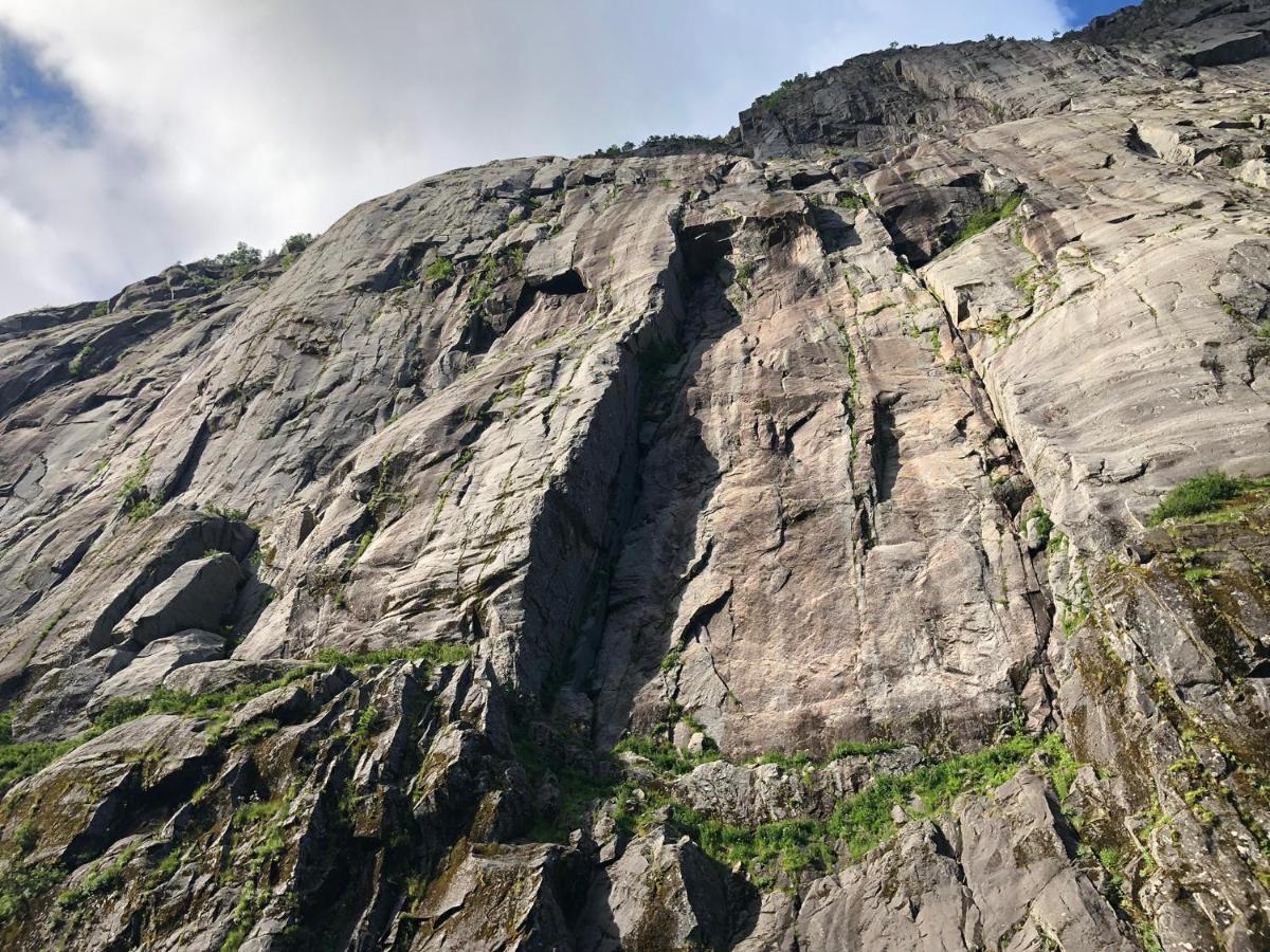 Lofoten And Vesteralen Kveldro Myrland Εξωτερικό φωτογραφία
