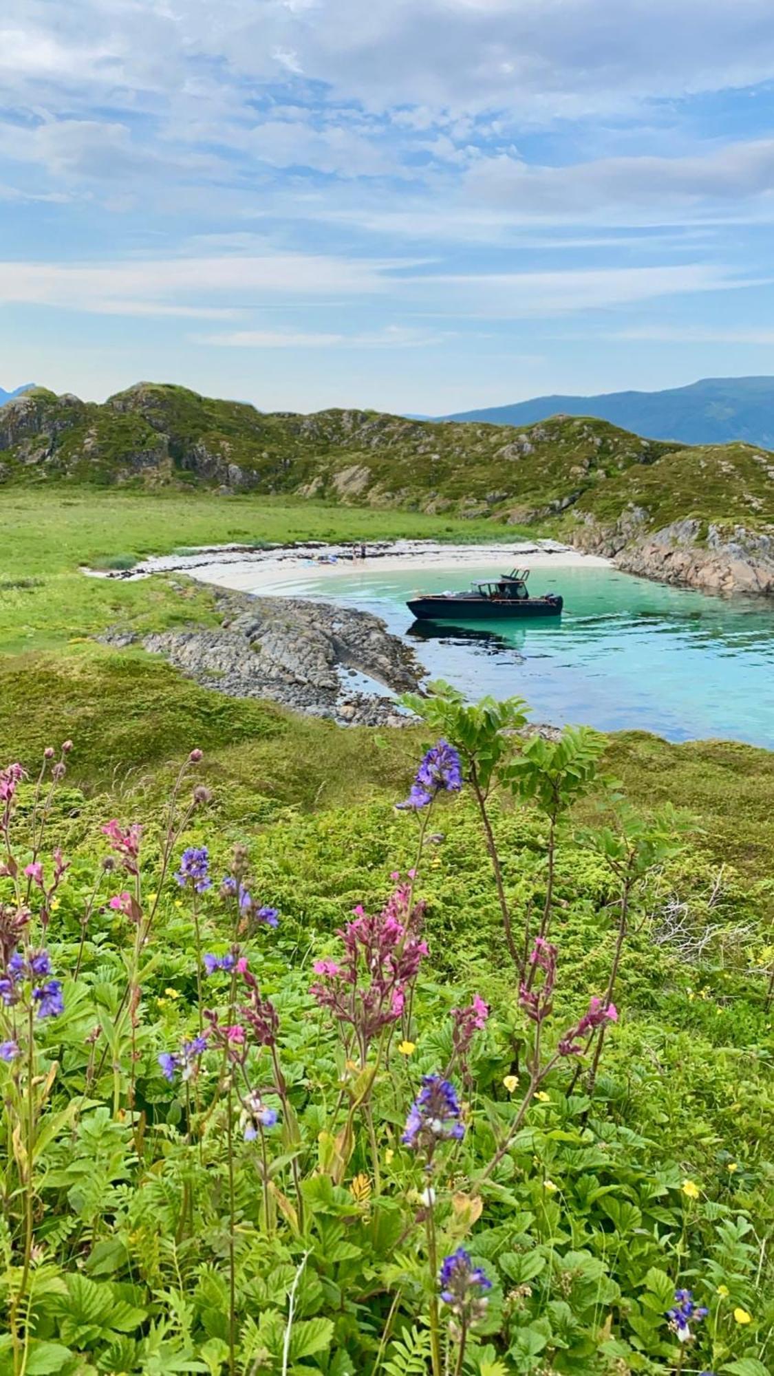 Lofoten And Vesteralen Kveldro Myrland Εξωτερικό φωτογραφία